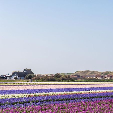 Duinland 251 - Park Duinland Sint Maartenszee Sint Maartensvlotbrug Extérieur photo